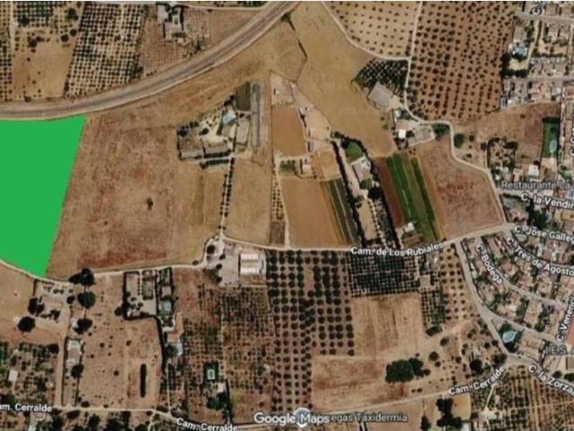 Terreno en venta en Villanueva Del Ariscal, Andalucía