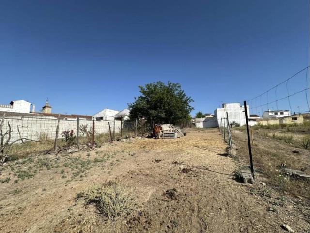 Terreno en venta en Villanueva Del Ariscal, Andalucía