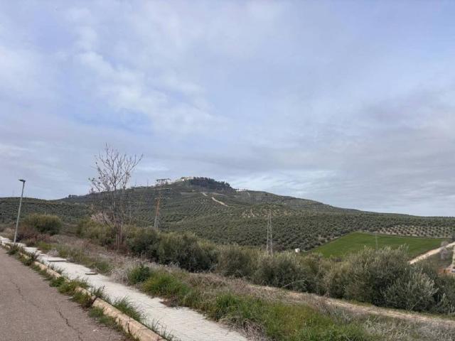 Terreno en venta en Villanueva Del Arzobispo, Andalucía