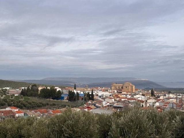 Terreno en venta en Villanueva Del Arzobispo, Andalucía