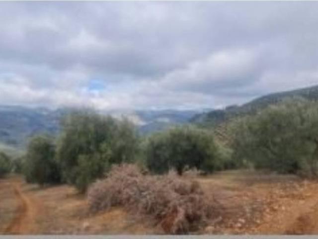 Terreno en venta en Villanueva Del Arzobispo, Andalucía