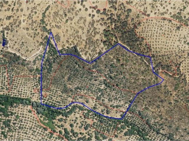 Terreno en venta en Villanueva Del Rey, Andalucía