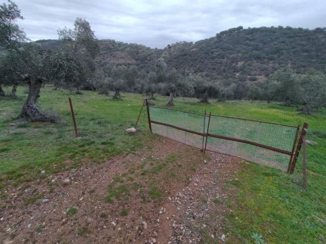Terreno en venta en Villanueva Del Rey, Andalucía