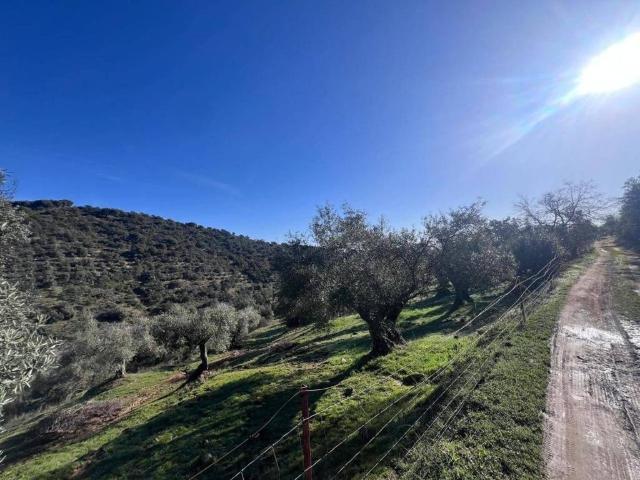 Terreno en venta en Villanueva del Rey, Córdoba