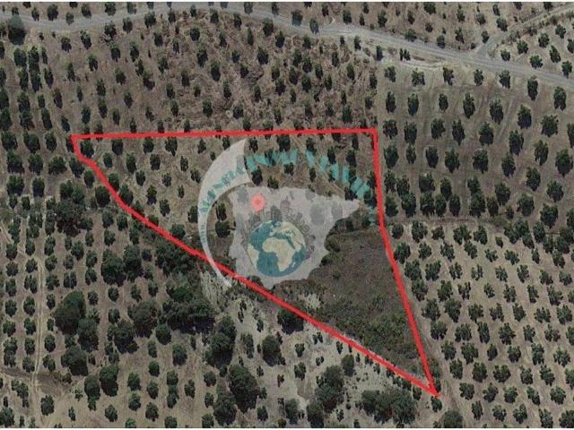 Terreno en venta en Villanueva Del Rey, Andalucía
