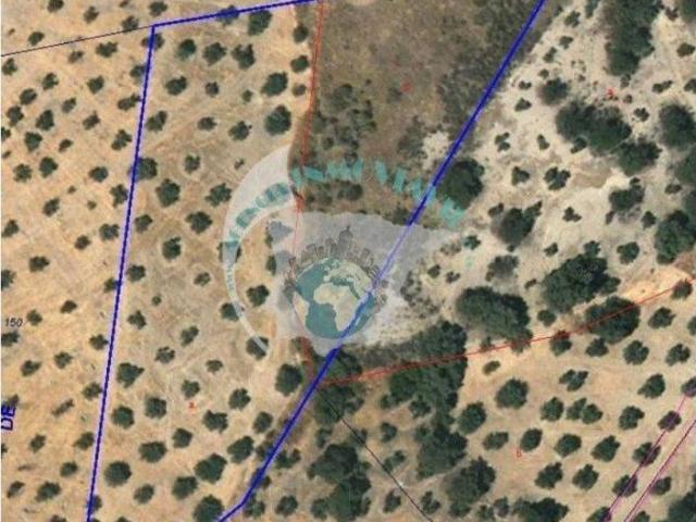 Terreno en venta en Villanueva Del Rey, Andalucía