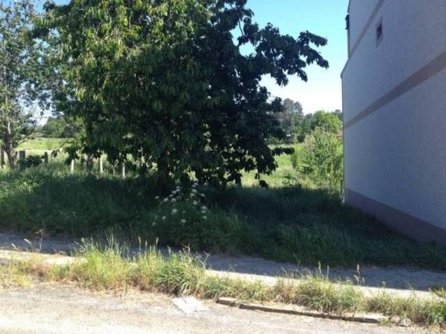 Terreno en venta en Valle de Ricote, Murcia