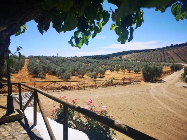 Terreno en venta en Villanueva Del Río Y Minas, Andalucía