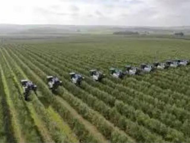 Terreno en venta en Villanueva Del Río Y Minas, Andalucía