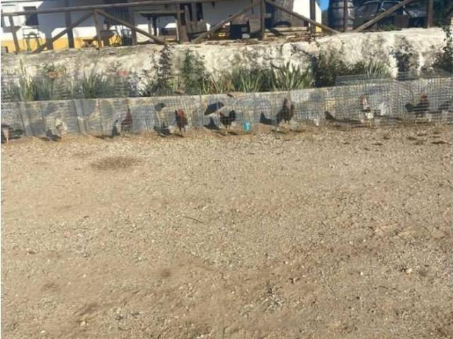 Terreno en venta en Villanueva Del Río Y Minas, Andalucía