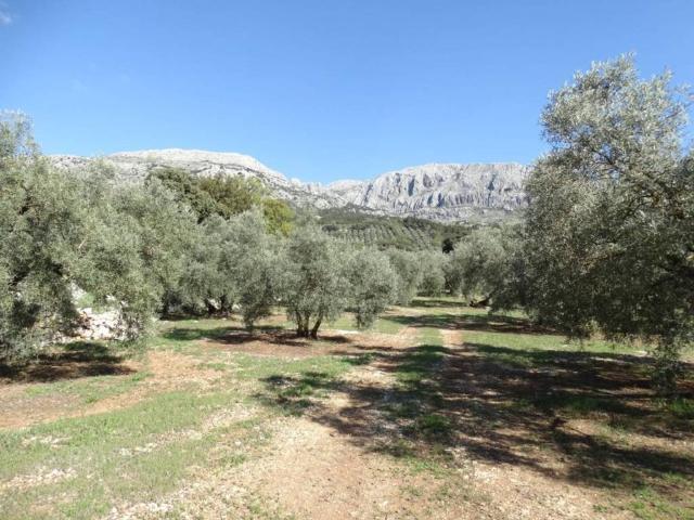 Terreno en venta en Nororma, Andalucía