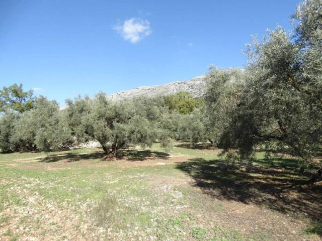 Terreno en venta en Nororma, Andalucía