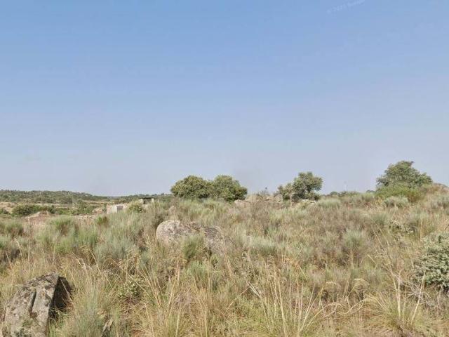 Terreno en venta en Villar De Ciervo, Castilla y León