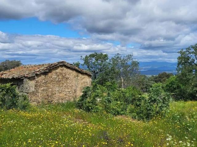 Terreno en venta en Villar De Plasencia, Extremadura
