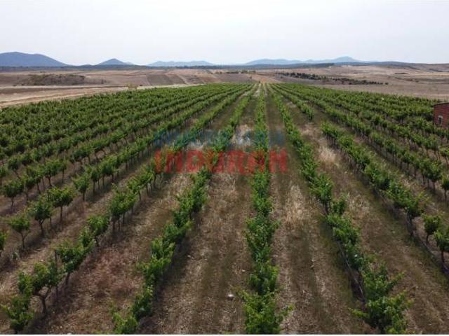 Terreno en venta en Villar Del Pedroso, Extremadura