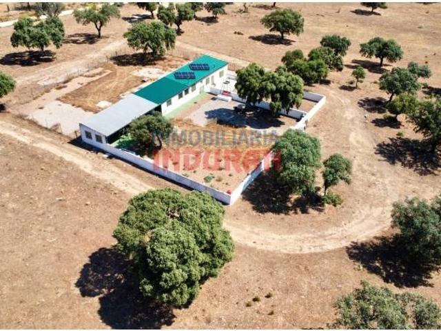 Terreno en venta en Villar Del Pedroso, Extremadura
