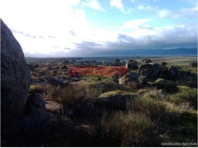Terreno en venta en Villar Del Pedroso, Extremadura