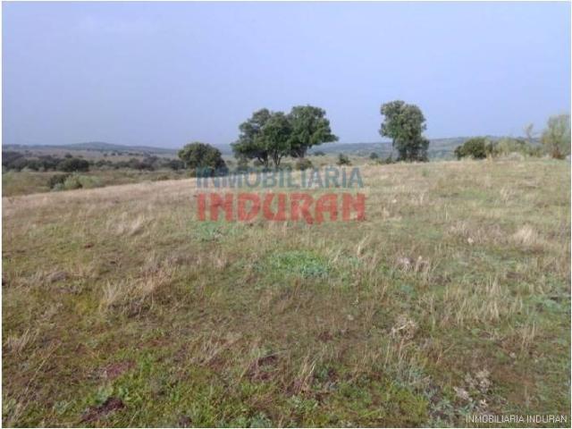 Terreno en venta en Villar Del Pedroso, Extremadura