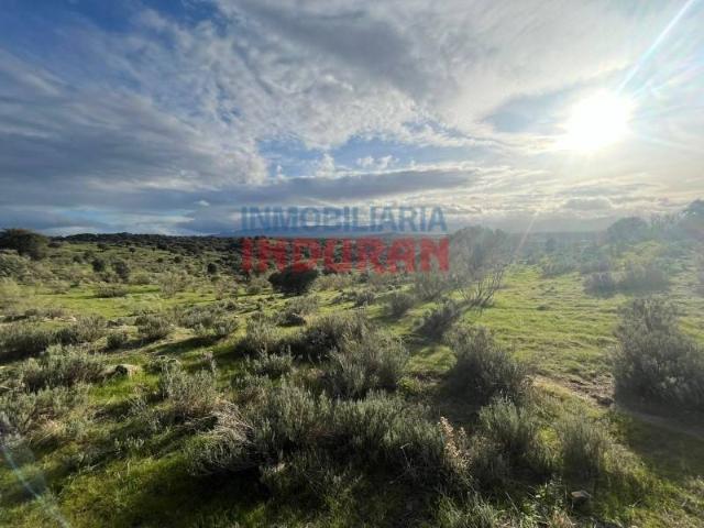 Terreno en venta en Villar Del Pedroso, Extremadura