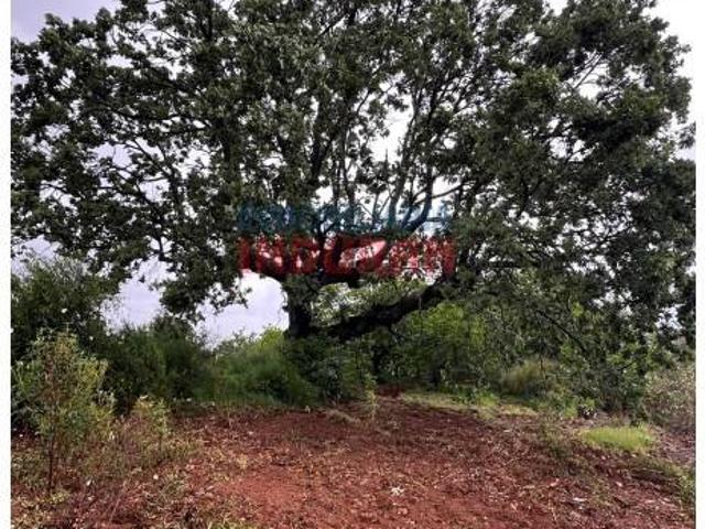 Terreno en venta en Villar Del Pedroso, Extremadura