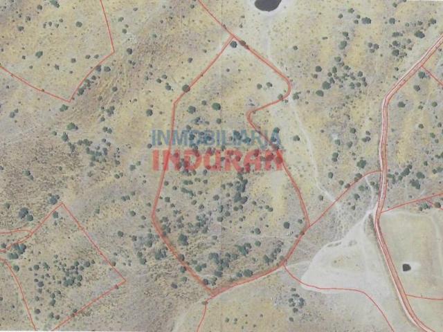Terreno en venta en Villar Del Pedroso, Extremadura