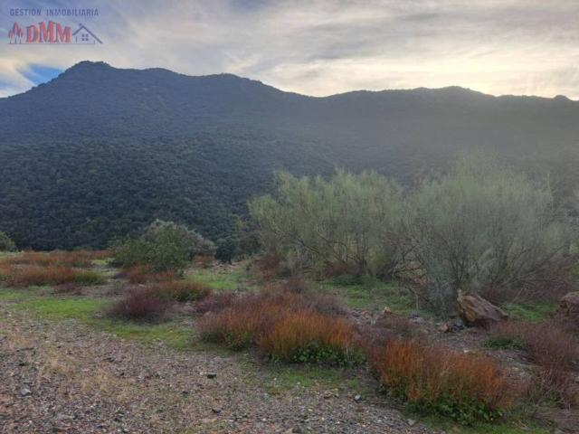 Terreno en venta en Villar Del Pozo, Castilla-La Mancha