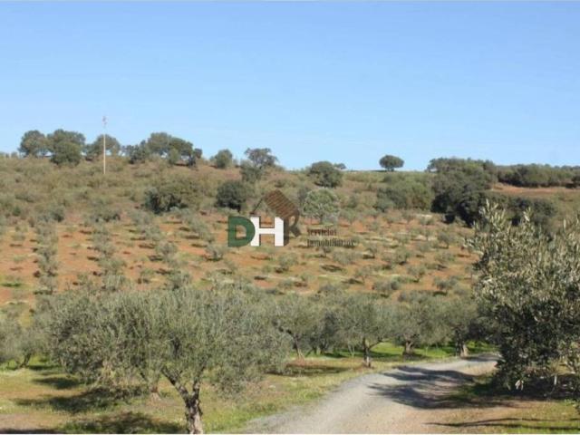 Terreno en venta en Tierra de Badajoz, Extremadura