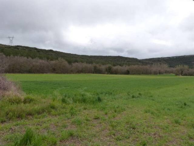 Terreno en venta en Villarcayo De Merindad De Castilla La Vieja, Castilla y León