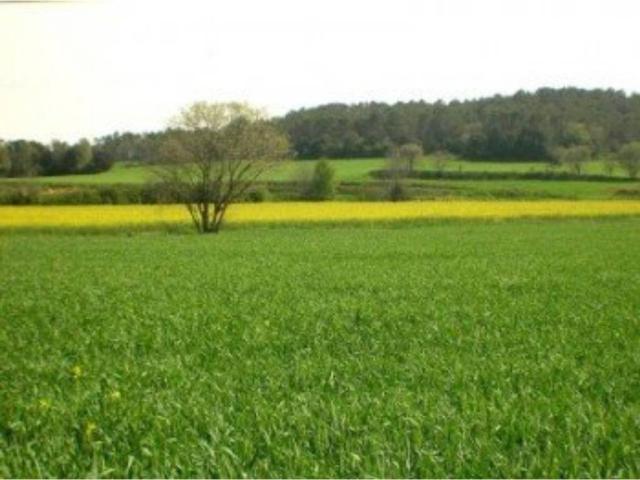 Terreno en venta en Villarcayo De Merindad De Castilla La Vieja, Castilla y León