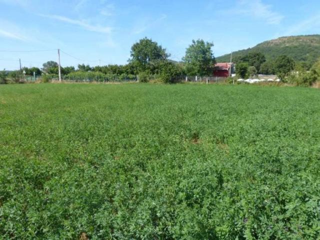 Terreno en venta en Villarcayo De Merindad De Castilla La Vieja, Castilla y León