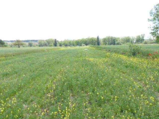 Terreno en venta en Villarcayo De Merindad De Castilla La Vieja, Castilla y León