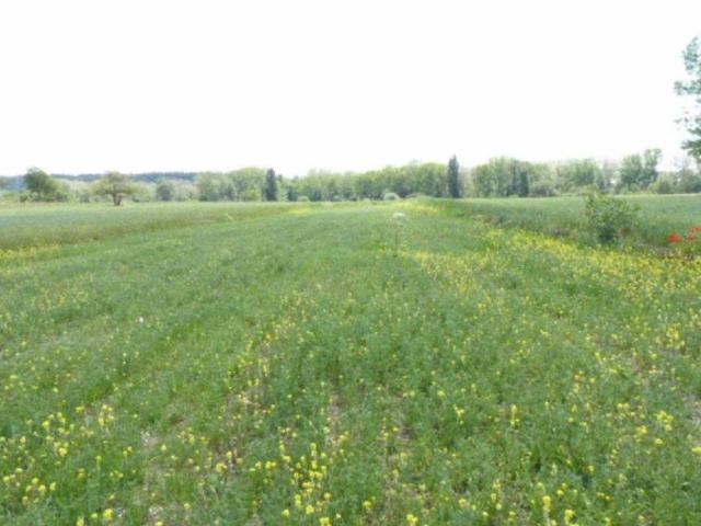 Terreno en venta en Villarcayo De Merindad De Castilla La Vieja, Castilla y León