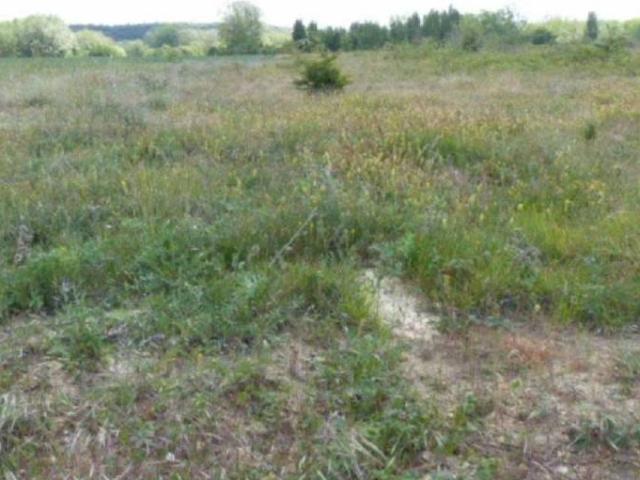 Terreno en venta en Villarcayo De Merindad De Castilla La Vieja, Castilla y León