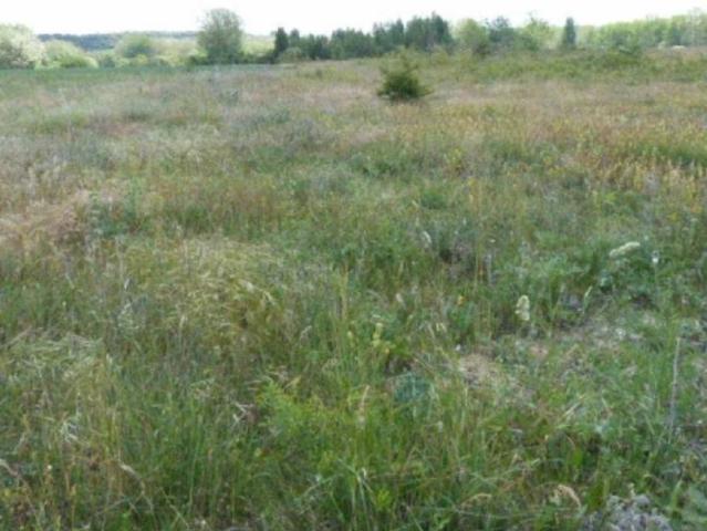Terreno en venta en Villarcayo De Merindad De Castilla La Vieja, Castilla y León