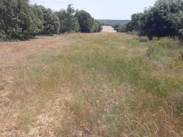 Terreno en venta en Villares De Órbigo, Castilla y León