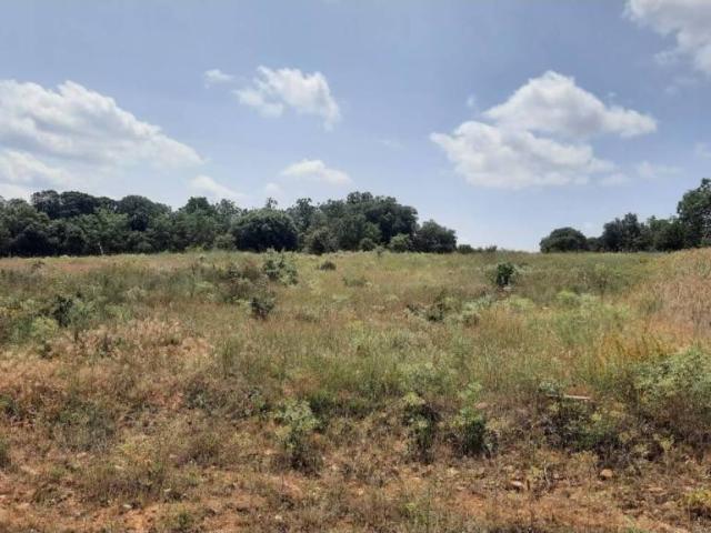Terreno en venta en Villares De Órbigo, Castilla y León