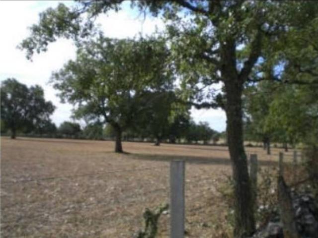 Terreno en venta en Villares De Yeltes