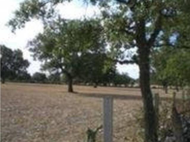 Terreno en venta en Villares De Yeltes, Castilla y León