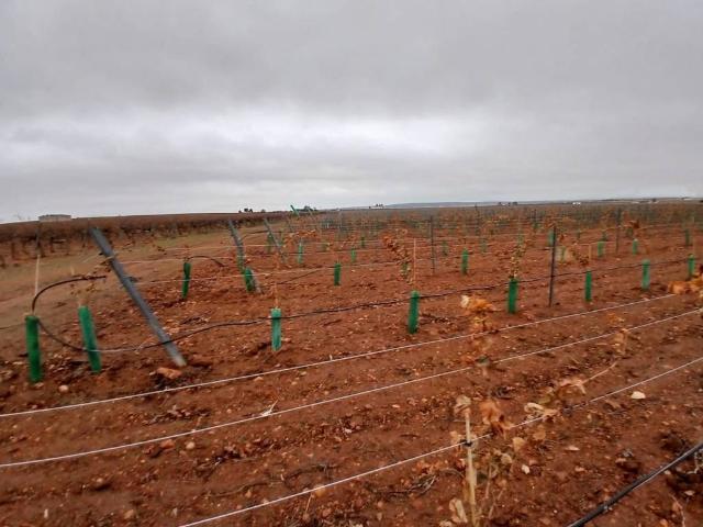 Terreno en venta en Villarrobledo, Castilla-La Mancha