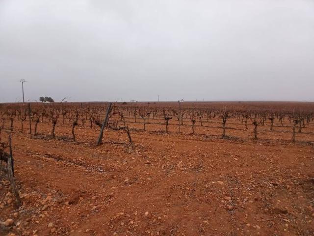 Terreno en venta en Villarrobledo, Castilla-La Mancha