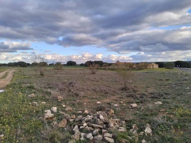 Terreno en venta en Villarrobledo, Castilla-La Mancha