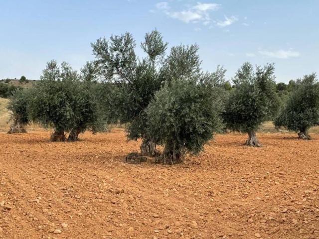 Terreno en venta en Villarrubia De Santiago, Castilla-La Mancha