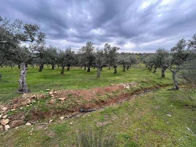Terreno en venta en Villasbuenas De Gata, Extremadura