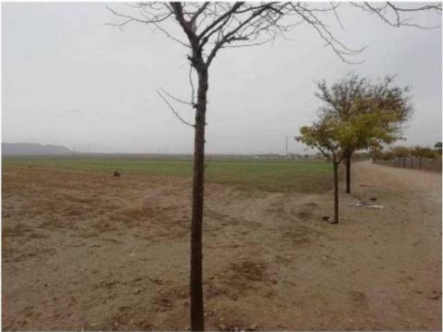 Terreno en venta en Villaseca De La Sagra, Castilla-La Mancha