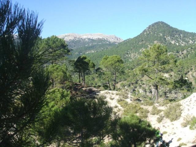 Terreno en venta en Villaverde De Guadalimar, Castilla-La Mancha