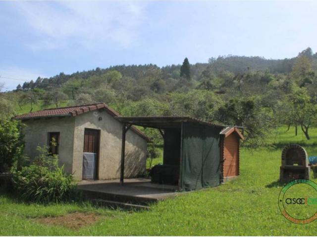 Terreno en venta en Villaviciosa, Asturias