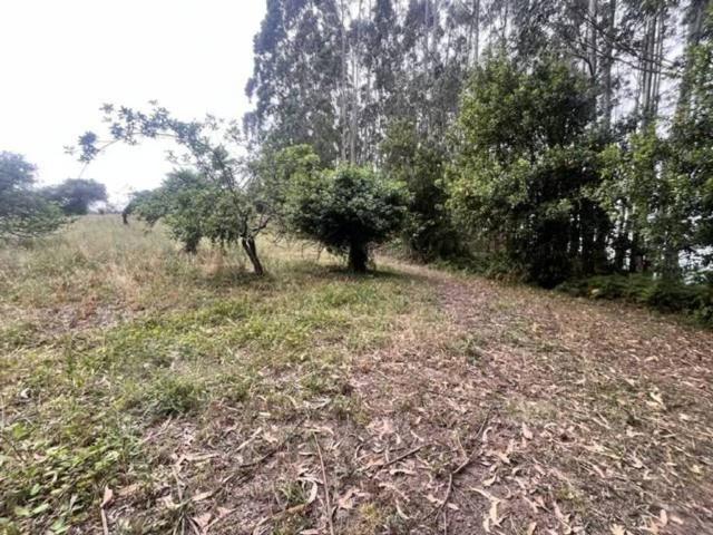 Terreno en venta en Villaviciosa, Asturias / Asturies
