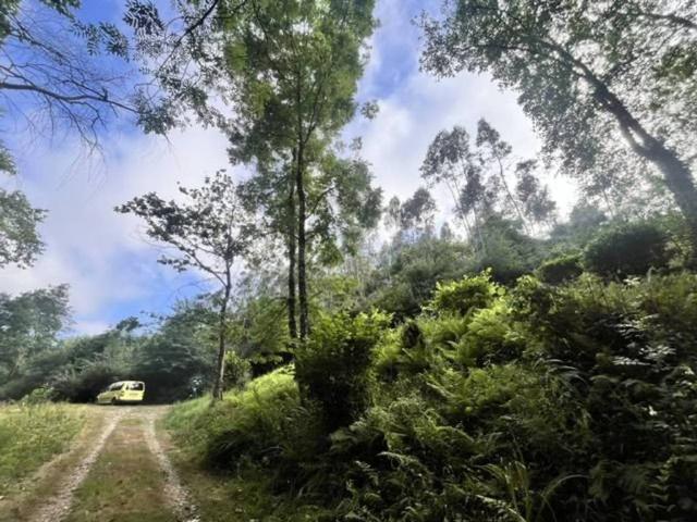 Terreno en venta en Villaviciosa, Asturias / Asturies