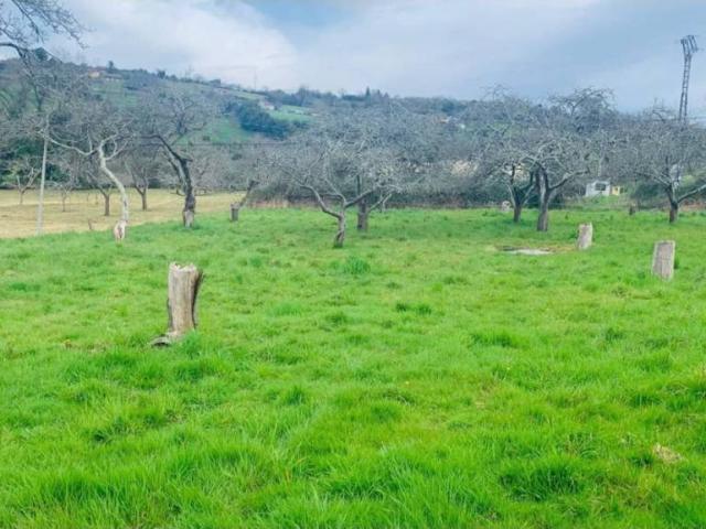 Terreno en venta en Villaviciosa