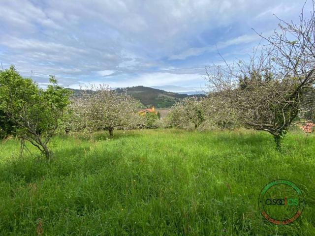 Terreno en venta en Villaviciosa, Asturias